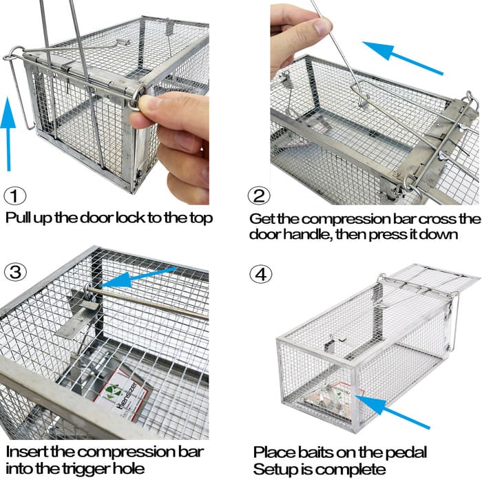 Kensizer 2 Pack Humane Live Animal Cage Trap That Work for Rat Mouse  Chipmunk and other Small Rodents, Catch and Release (Medium)
