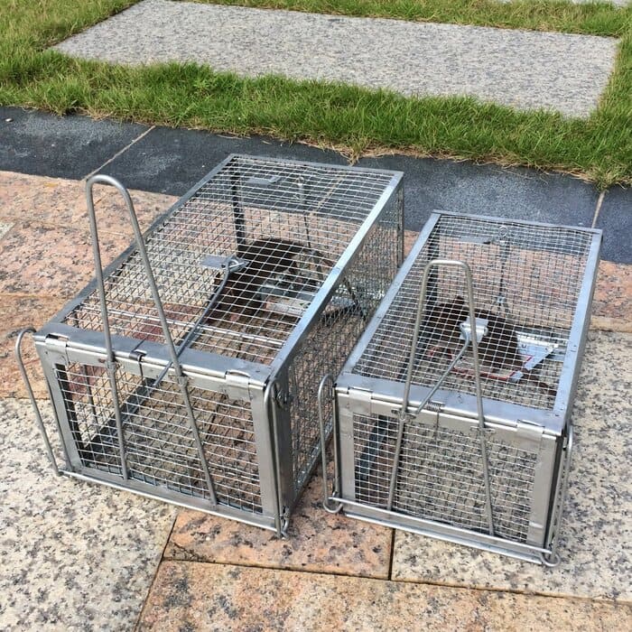Pack of 2 Catch Release Large Live Humane Animal Cage Trap