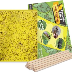 Kensizer 50-Pack Fruit Fly Trap, Yellow Sticky Gnat Traps Killer for Indoor/Outdoor Flying Plant Insect Like Fungus Gnats, Whiteflies, Aphids, Leaf Miners - 6x8 in, Twist Ties Included